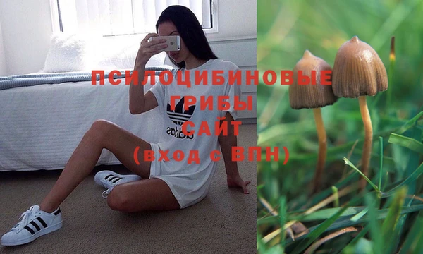 наркотики Абинск